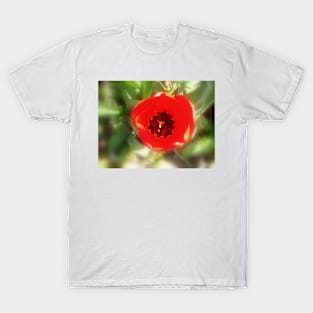 top of the tulip T-Shirt